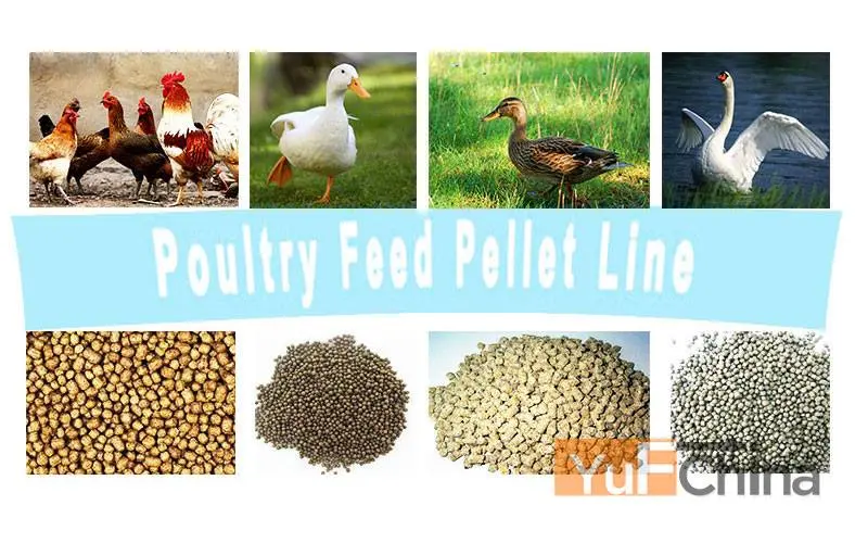 Flat Die Animal Feed Pellet Machine